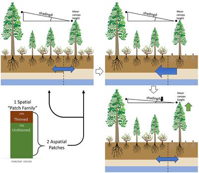 Understanding How Fuel Treatments Interact With Climate and Biophysical Setting to Affect Fire, Water, and Forest Health: A Process-Based Modeling Approach